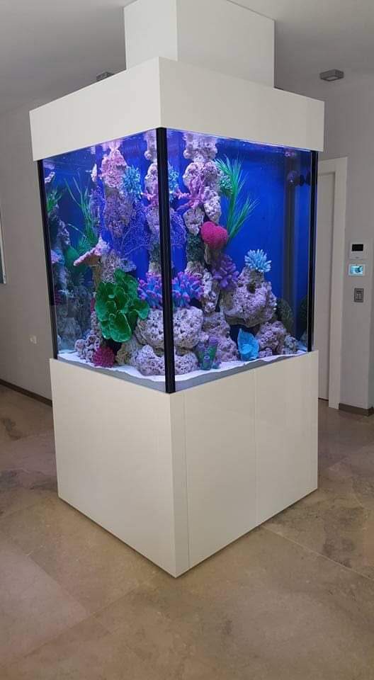 אקווריום בתל אביב כחלק מעיצוב הבית